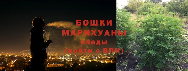 дурь Тавда